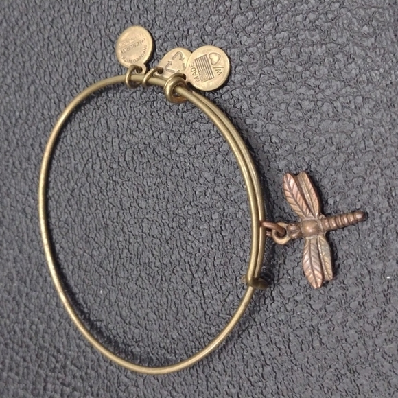 Dragonfly alex and ani Clearance